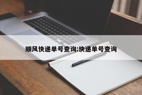顺风快递单号查询:快递单号查询