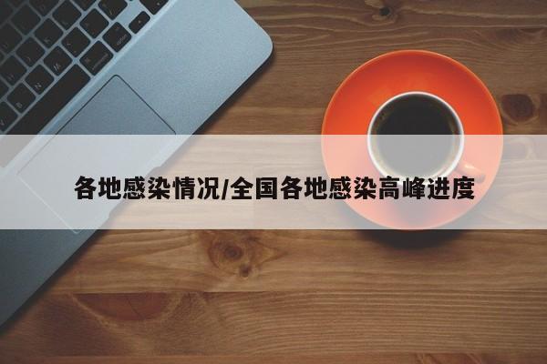 各地感染情况/全国各地感染高峰进度