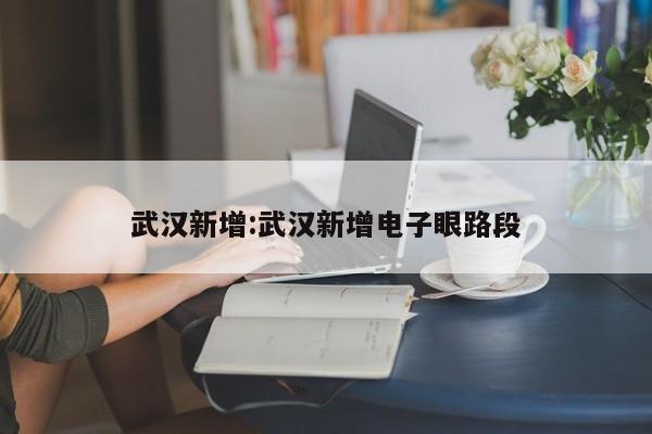 武汉新增:武汉新增电子眼路段